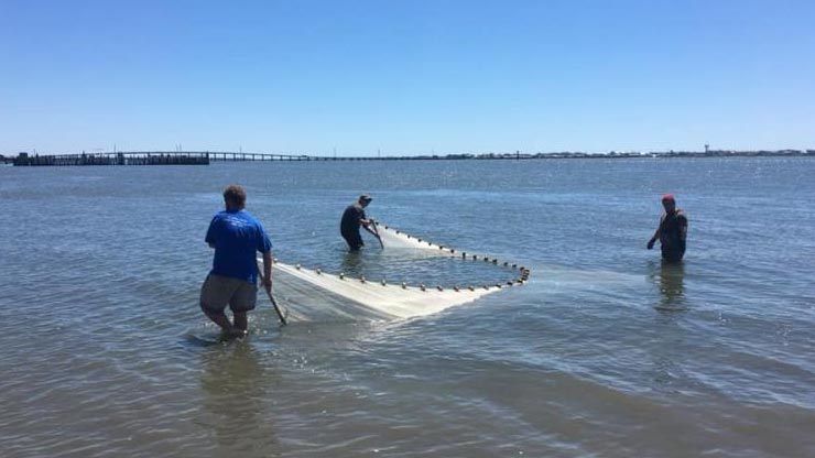 Three people pulling a net through the ocean.