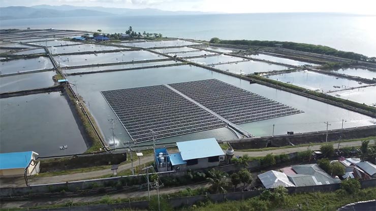 A solar array sitting on the ocean surface in separated pools. 