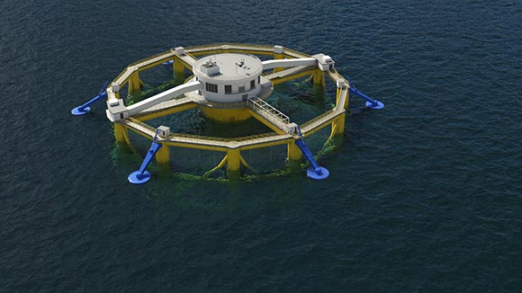 An illustration of an aquaculture device in the ocean.