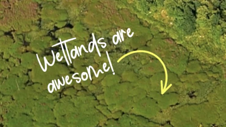Bright green forests and land with Wetlands are awesome! in white text and a yellow arrow overlaying the image.