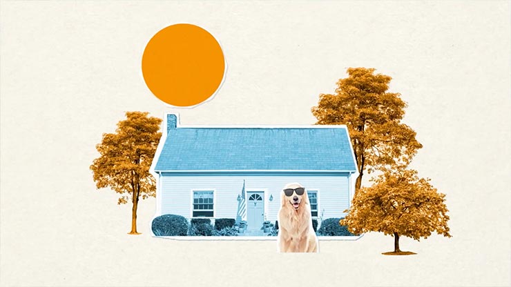 A graphic of a house and trees with a large orange sun and a golden retriever in sunglasses at the forefront.