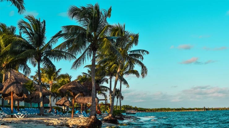 Palm trees line the coast where the land and sea meet, with grass umbrellas and lounge chairs along the beach.
