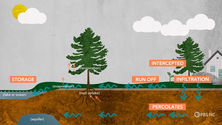 Illustration of a landscape with soil, trees, and sky, and overlaying white text in orange boxes across the image