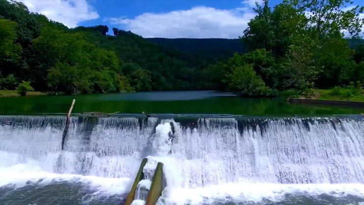 A river running through a green forest